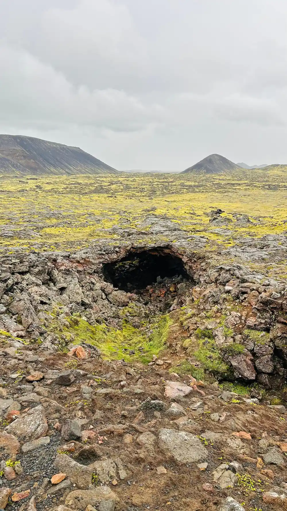 The crater opening seen as a dark hole in the mossy plain